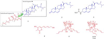 Tennessenoid A, an Unprecedented Steroid−Sorbicillinoid Adduct From the Marine-Derived Endophyte of Aspergillus sp. Strain 1022LEF